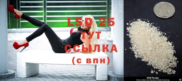 mdpv Гусев